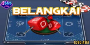 Cách chơi Belangkai G365 chi tiết nhất cho người mới