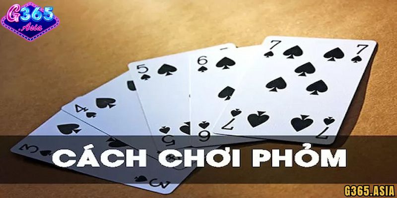 Tìm hiểu về bài Phỏm G365 là gì?