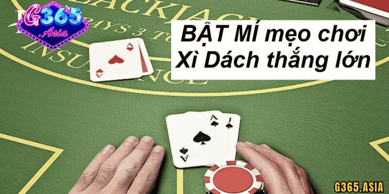 Kinh nghiệm, cách chơi Xì dách G365 không thua
