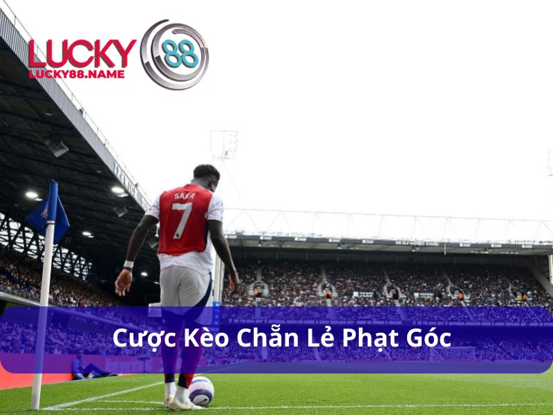 Tìm hiểu về Kèo Chẵn Lẻ Phạt Góc