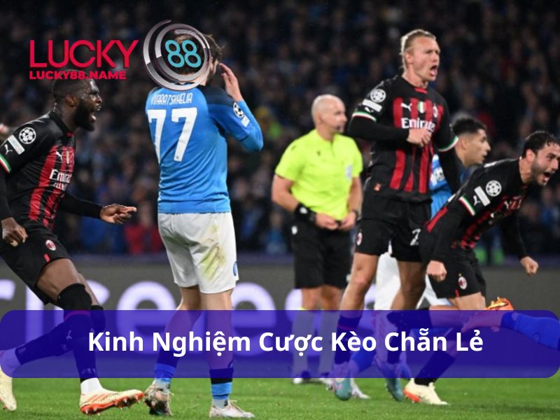 Kinh nghiệm cược Kèo Chẵn Lẻ
